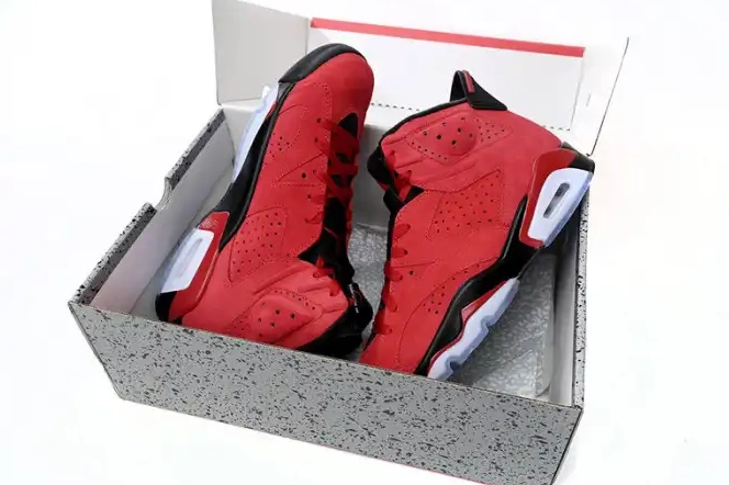 Rep TBK Jordan Toro Air 6 CT8529-600 0617
